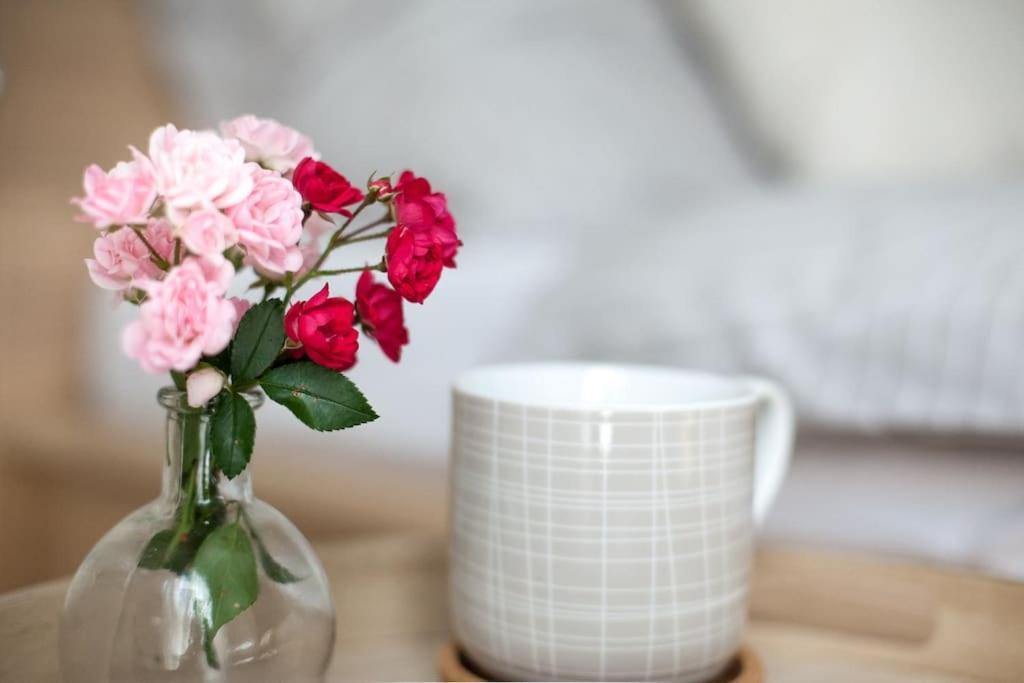 Liszt Apartman Gyor Ngoại thất bức ảnh